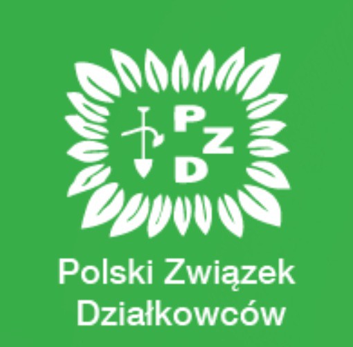 https://pzd.pl/